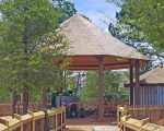 Heavy Timber Thatch Roof Pavilion Zoo Atlanta